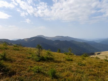 Karpatlar, Alpler ve Himalayalar 'ın dağlarındaki altın sonbaharın güzel manzaraları.        