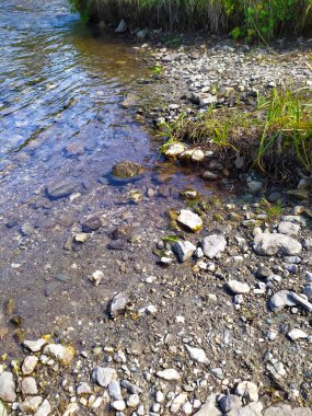 Yüksek dağlarda akan berrak bir kristal nehir