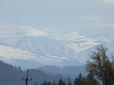 Chornohora Ridge Massif, Berbeneskul, Rebra ve Kedrovaty dağları