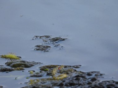 Dalgalar ve bulutlarla güzel deniz kıyısı