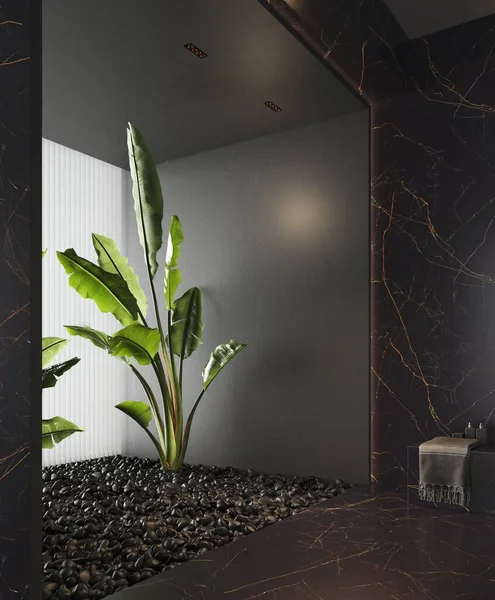 3D为一间带有黑色大理石和灰泥墙壁的浴室提供现代化的空空间 浴缸的空间 地板上的黑色石头 大植物 自然光 — 图库照片