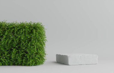 Ürün podyumu - Beyaz Taş Podyum, Bitkilerle Beyaz Arkaplan. 3B Görüntü