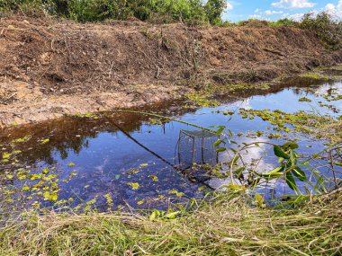 Bambudan yapılmış geleneksel balık tuzağı
