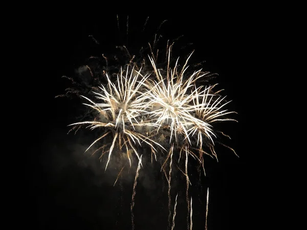 Beautiful Fireworks Black Sky Background — Stock Photo, Image