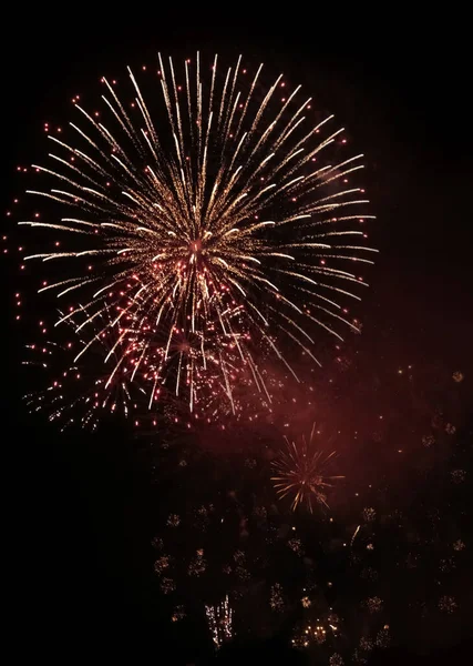 Colorful Fireworks Night Sky — Stock Photo, Image