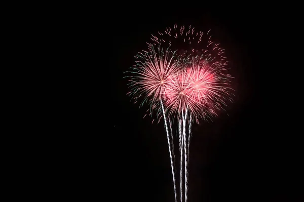 Fireworks Display Night Sky — Stock Photo, Image