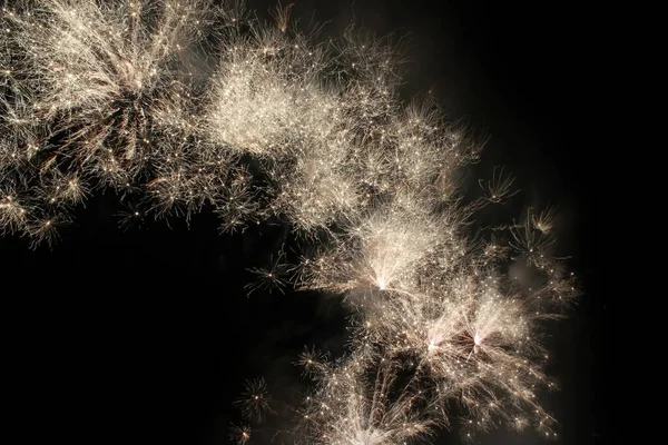 Karlı Noel ağacı dalları