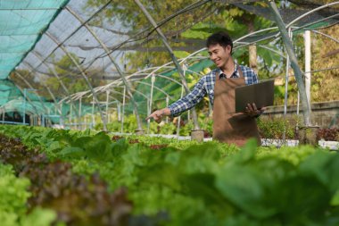 Asian business owner observed about growing organic in hydroponics farm. Growing organic vegetable and Green energy concept.