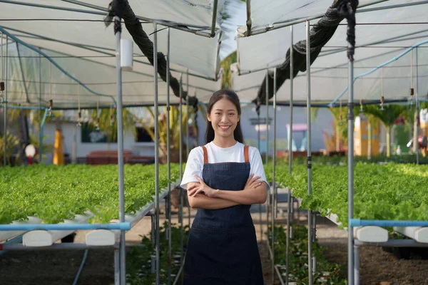 Asian Business Owner Observed Growing Organic Hydroponics Farm Growing Organic — Fotografia de Stock
