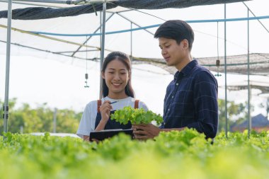 Asian business owner observed about growing organic in hydroponics farm. Growing organic vegetable and Green energy concept.