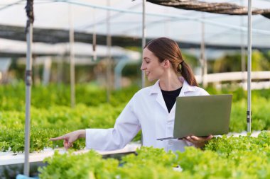 Science team working and researching in hydro and organic farm. Quality check, laboratory greenhouse concept