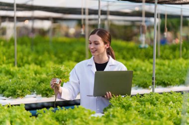 Science team working and researching in hydro and organic farm. Quality check, laboratory greenhouse concept