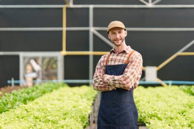 Businessperson or farmer checking hydroponic soilless vegetable in nursery farm. Business and organic hydroponic vegetable concept.