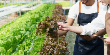 Closeup image of people to grow a small tree in the organic farm. Asian business owner working at organic farm and quality check..