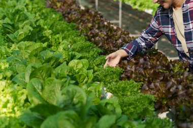 Closeup image of people to grow a small tree in the organic farm. Asian business owner working at organic farm and quality check..