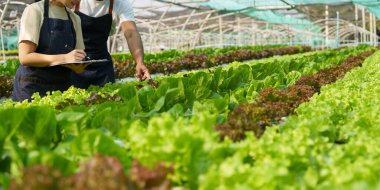Closeup image of people to grow a small tree in the organic farm. Asian business owner working at organic farm and quality check..