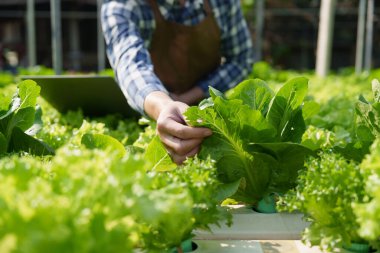 Closeup image of people to grow a small tree in the organic farm. Asian business owner working at organic farm and quality check..