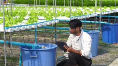 Asian business owner observed about growing organic in hydroponics farm. Growing organic vegetable and Green energy concept.