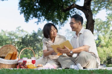 Yaşlı ve evli bir çift parkta piknik yapıyor. üst düzey emekli kavramsal.