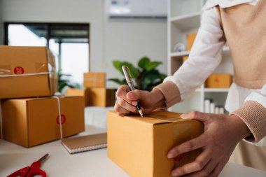 Genç iş kadını girişimci çevrimiçi sevkiyat işi müşteriye göndermek üzere paketler hazırlıyor. e-ticaret konsepti.