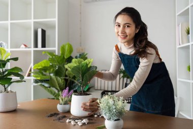 Modern bir ofis ortamında küçük işletmeleri ve hobileri temsil eden ev bitkileriyle tutkuyla ilgilenen genç bir kadın..