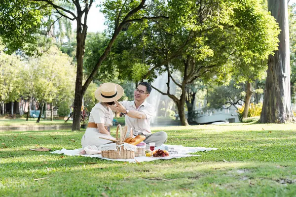 Sunny Park 'ta neşeli bir piknik yapan yaşlı çift, huzurlu ve mutlu bir emekliliği sembolize ediyor..