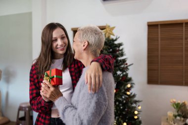 İki kadın keyifli bir bayram anının tadını çıkarıyorlar, süslü bir Noel ağacıyla sıcak bir odada hediye alışverişinde bulunuyorlar..