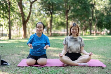 İki neşeli kadın, huzurlu bir parkta pembe yoga minderleri üzerinde meditasyon yapıyor, farkındalık ve sağlığa odaklanıyor, doğal ortamın tadını çıkarıyorlar..