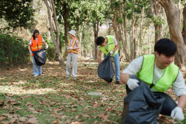 Bir grup kendini işine adamış gönüllü, atık toplayarak, topluma ilham vererek ve daha yeşil bir gelecek yaratarak takım çalışması sergiliyor..