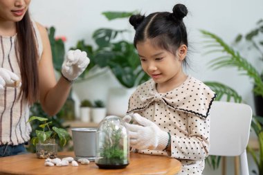 Genç bir kız, kendisine çevre dostu uygulamaları öğreten bir yetişkinin rehberliğinde bir akvaryum inşa ederken çakıl taşı ve bitkilerle oynuyor..