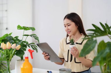 Bir bahçıvan elinde saksı bitkisi tutarken tabletine bakar, bitki bakımı hakkında araştırma yapar. Kapalı alandaki bahçesini beslemek için en iyi uygulamaları yapar..