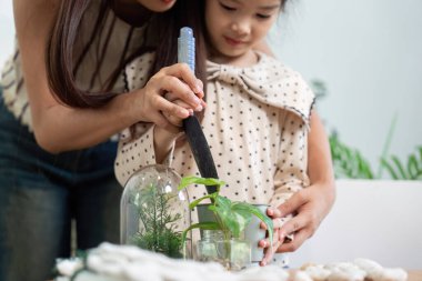 Bir anne ve kızı kapalı alanda bahçe işlerinin keyfini çıkarıyorlar, bitki bakımı ve çevre bakımına odaklanıyorlar..