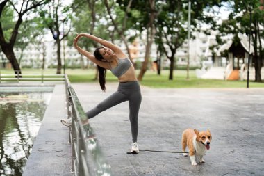 Corgi 'si yanında dururken bir kadın dinamik bir esneklik sergiliyor. Fitness ve şehir parkındaki evcil hayvanlarla olan bağını gösteriyor..