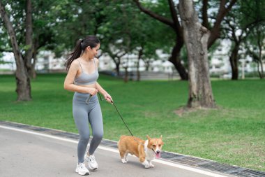 Genç bir kadın Corgi 'sini parkta gezdirirken, sağlığını ve uygunluğunu somutlaştırırken açık hava ve arkadaşlığın tadını çıkarıyor..