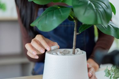 Bir kadın, dekoratif bir bitkiyi dikkatlice tenceresine yerleştirir. Bahçe işleri ve bitki estetiği tutkusunu gözler önüne serer..