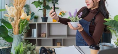 Çevresi yeşilliklerle çevriliyken bir kadın küçük bir bitki tutarken doğanın bir karışımı ve uzaktan çalışma sergiliyor..
