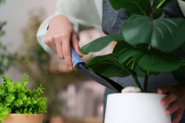 Bir kadın saksı bitkisine bir malayla bakar. Kapalı bahçesini beslemeye olan bağlılığını gösterir..