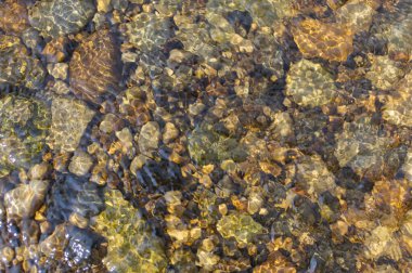 İngiltere, Yorkshire dales 'de sığ bir nehir yatağında renkli çakıl taşlarının üzerinden akan su dalgalarının görüntüsü.