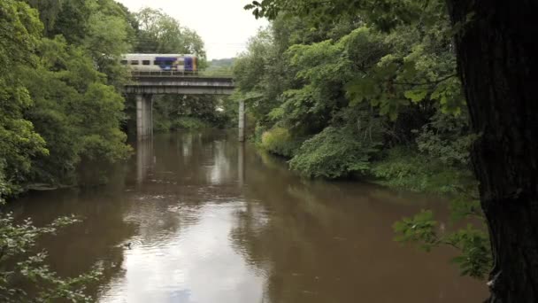 Bradford 2023 Train Crosses Bridge River Aire — Stock Video