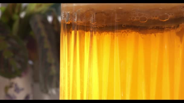 人们看到一罐金黄色的科姆布查葡萄酒在一个老式玻璃瓶中发酵 在饮料发展的地方 可以看到小气泡在上升 — 图库视频影像