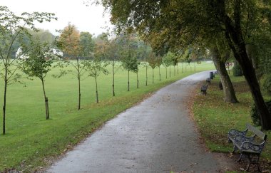 Asfalt yolun kenarında yetişen fidanlar, sonbaharda bir İngiliz parkında süslü metal işlerle dolu sıralı banklar.