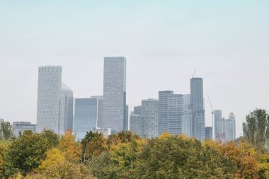 Londra panoraması, arka planda başkentin merkezi olan bir sonbahar günüdür. Stave Hill perspektifinden çekilmiş..