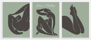 Matisse tarzı soyut sanat seti, Dekoratif Modern Sanat, Vektör illüstrasyon posteri içerir. Modaya uygun çiçek dekorasyonu ve yaratıcı sanat koleksiyonu. minimal estetik modern sanat.