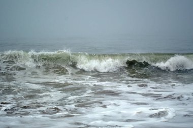 Dalgalar sahile çarpıyor. 