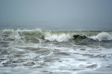 Deniz dalgaları Beach 