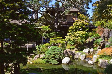 Japon bahçesi, pagoda ve bonsai ağaçları.
