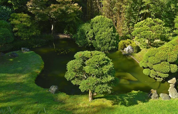 Japanse Tuin Met Bomen Rond Het Meer — Stockfoto