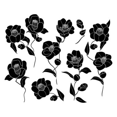 Kamelya siyah siluet çiçek dalı seti. Beyaz çizgili sevimli el çizimi çiçek vektör çizimi ve beyaz arkaplanda siyah uçak. Botanik çizgisi çizimi