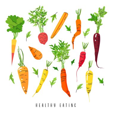 Beyaz arka planda izole edilmiş farklı renkte havuçlar. Modern illüstrasyonla sağlıklı vektör hasadı