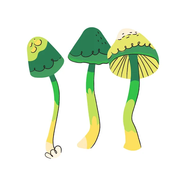 绿色蘑菇毒菌在白色背景下被分离 秋季真菌漫画平面插图 — 图库矢量图片